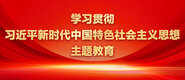 操美女B色呦呦学习贯彻习近平新时代中国特色社会主义思想主题教育_fororder_ad-371X160(2)